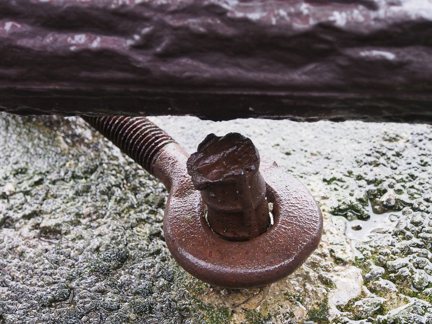 P9210010.jpg