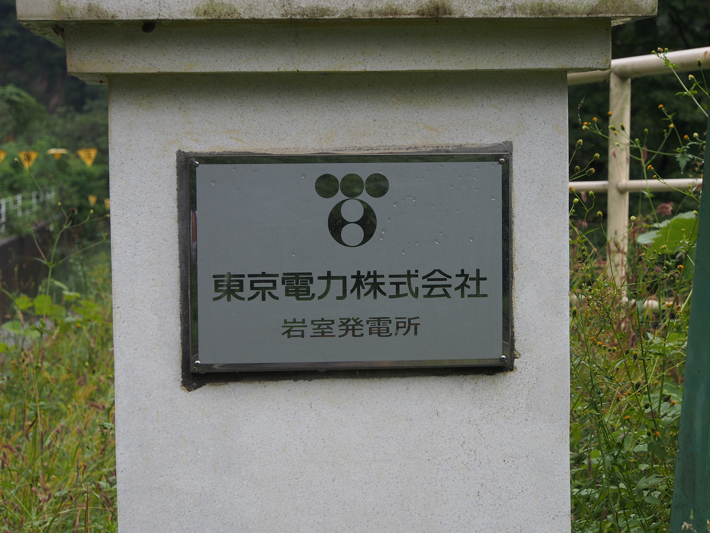 P9210025.jpg