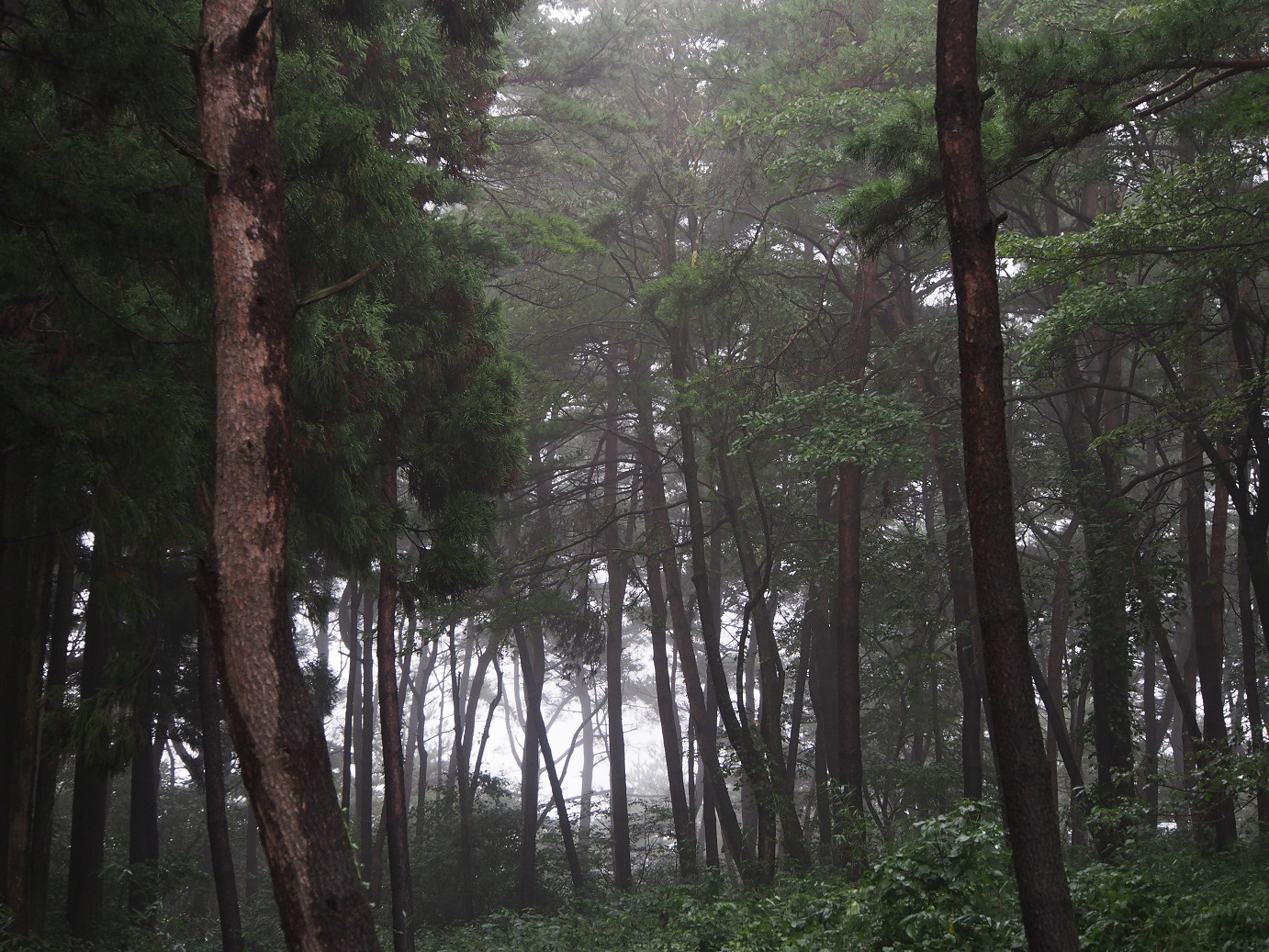 P9210064.jpg