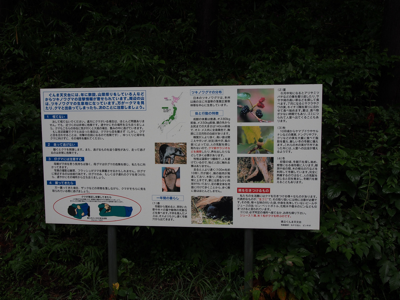 P9210072.jpg