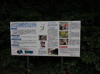P9210072_thumb.png