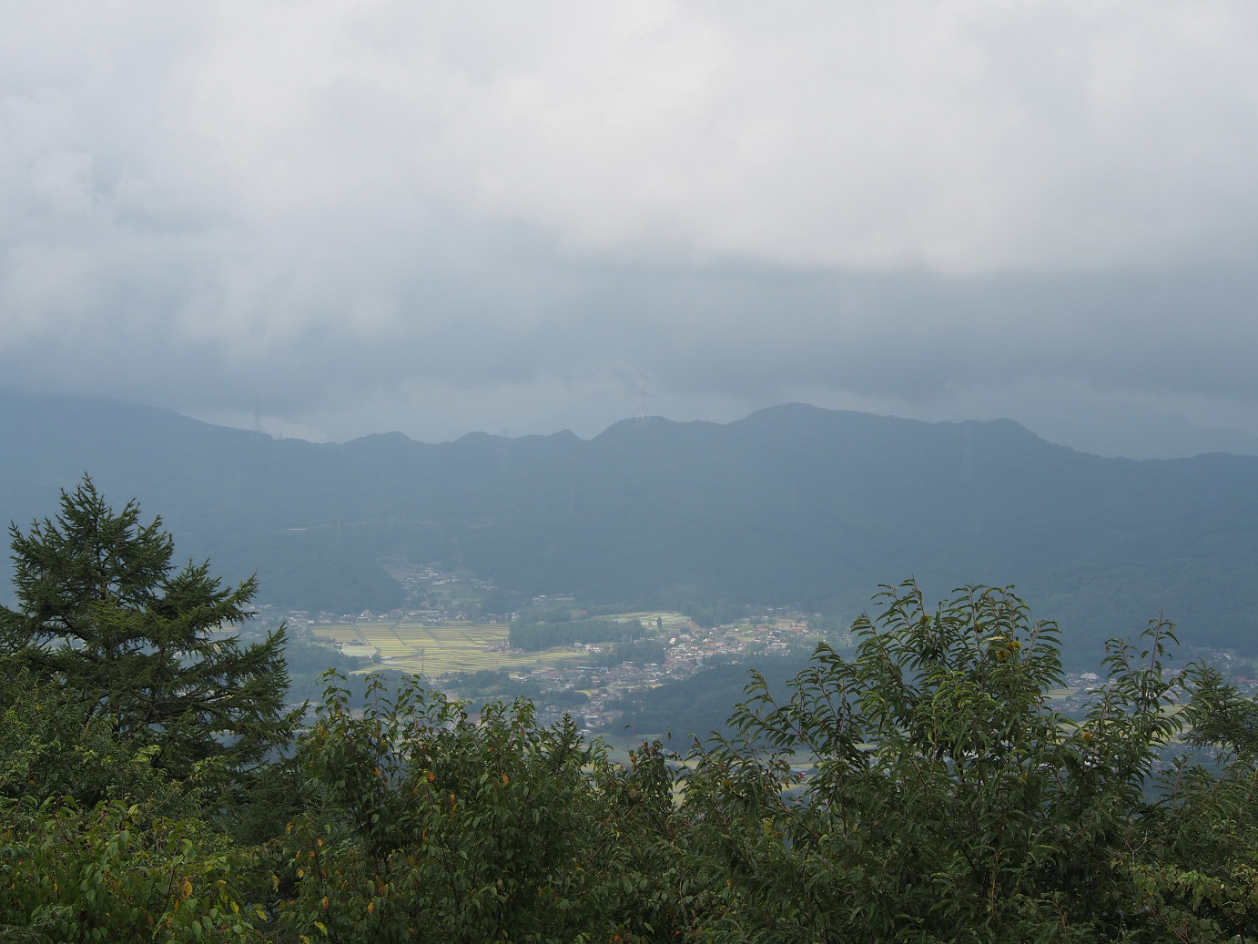 P9210164.jpg