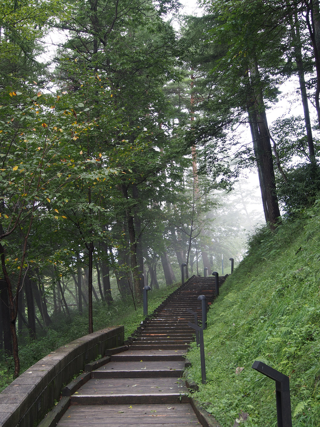P9210190.jpg