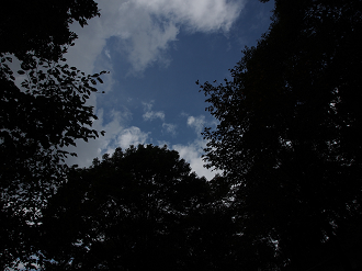 P9210192_thumb.png