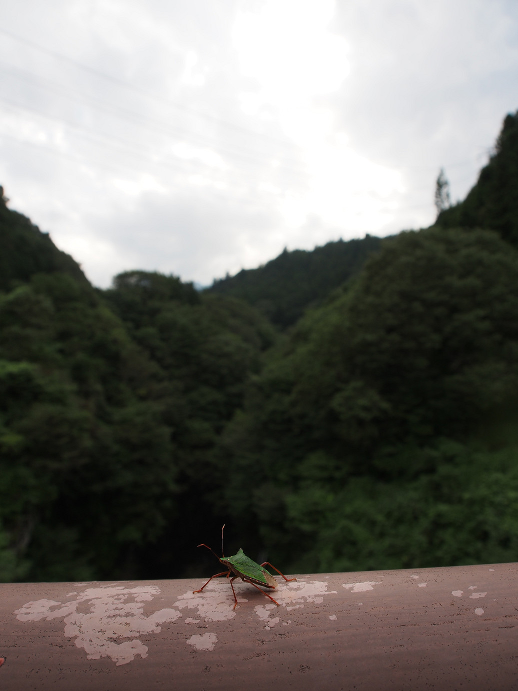 P9210252.jpg