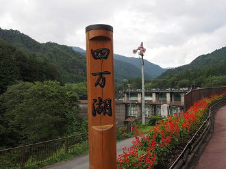 P9210278_thumb.png