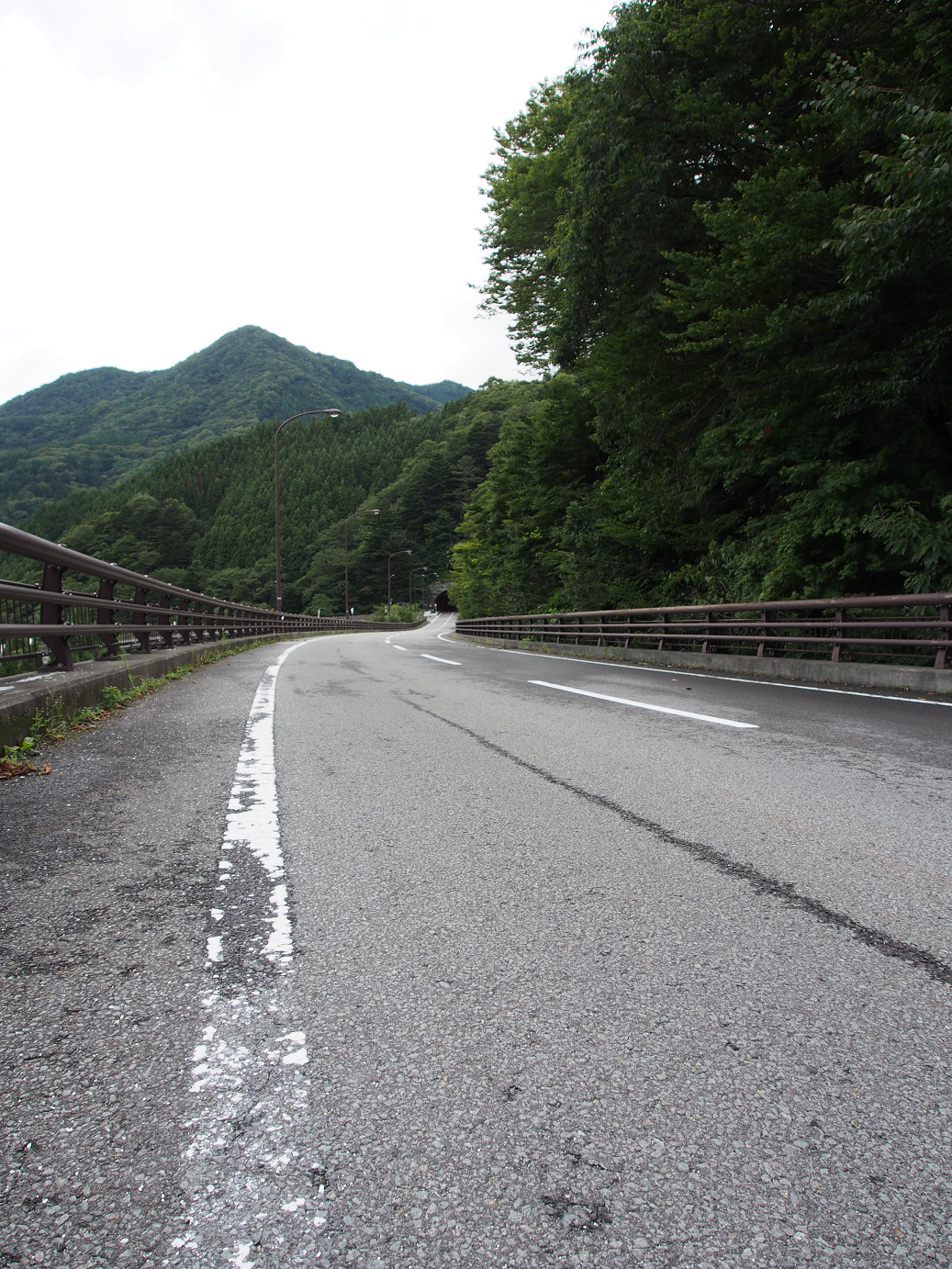 P9210285.jpg