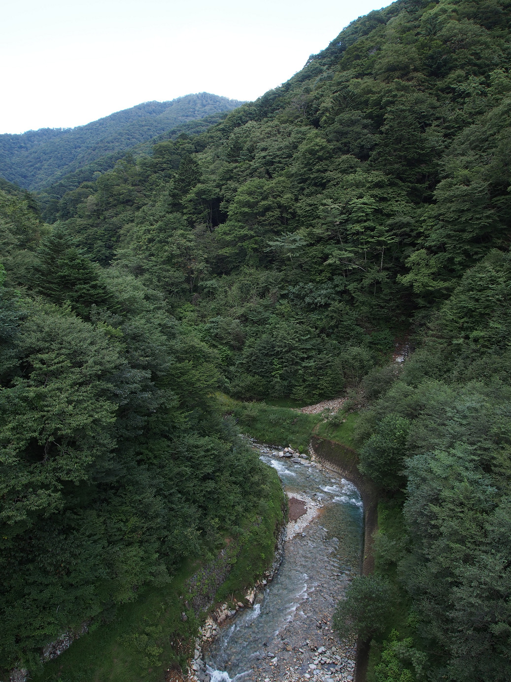 P9210295.jpg