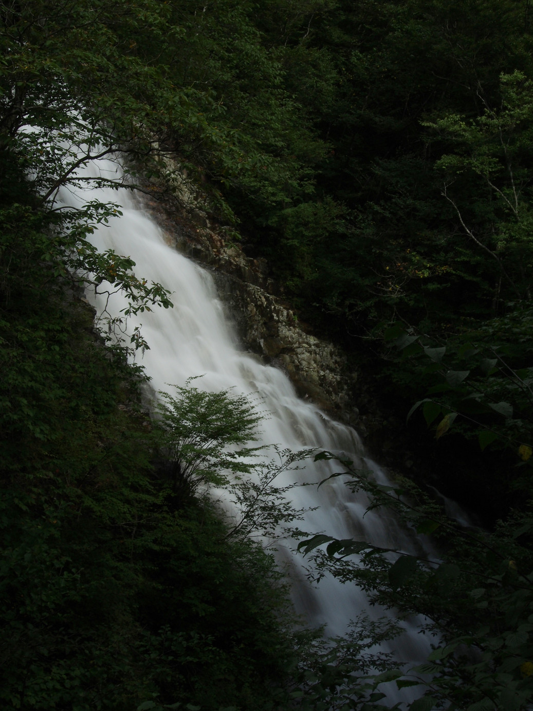 P9210318.jpg