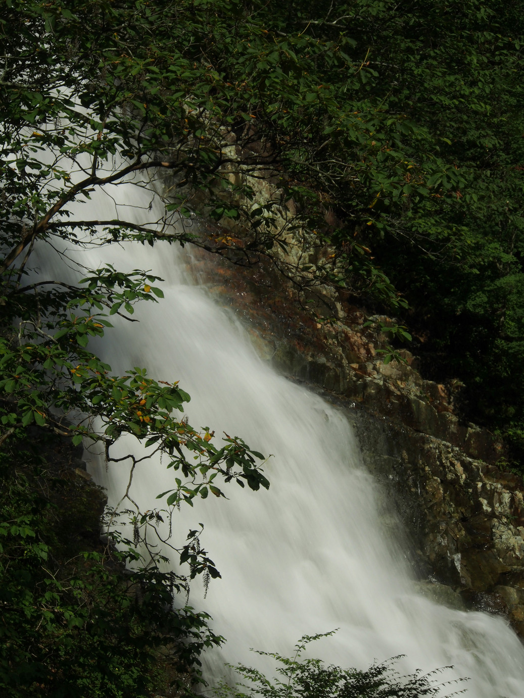 P9210338.jpg