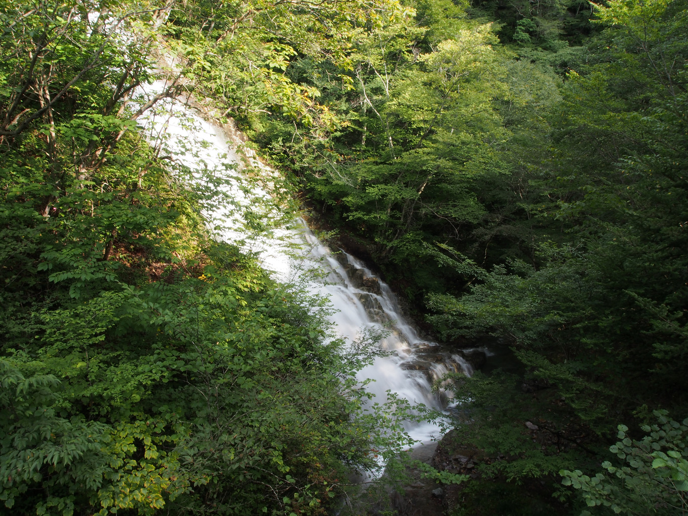 P9210377.jpg
