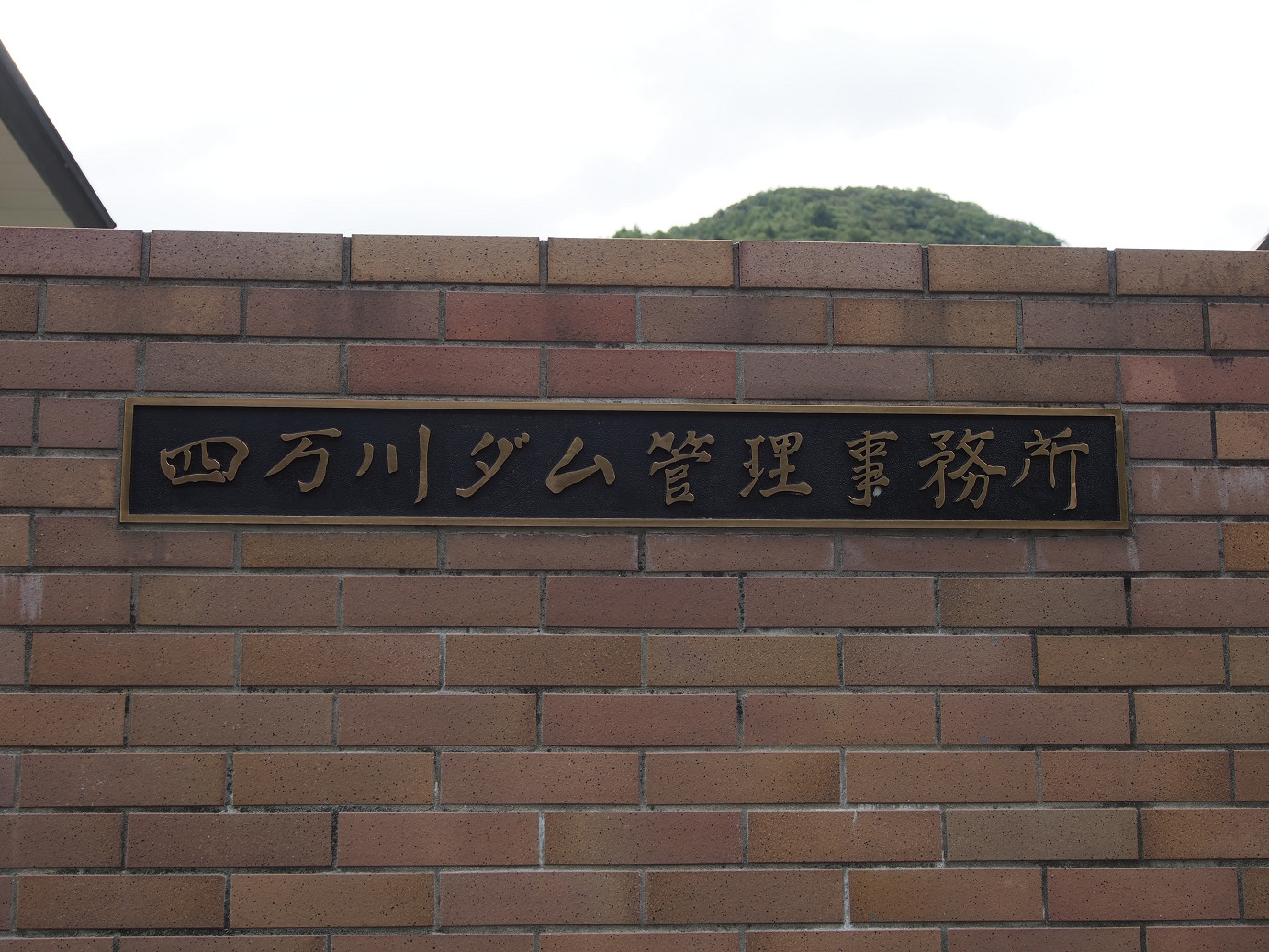 P9210397.jpg