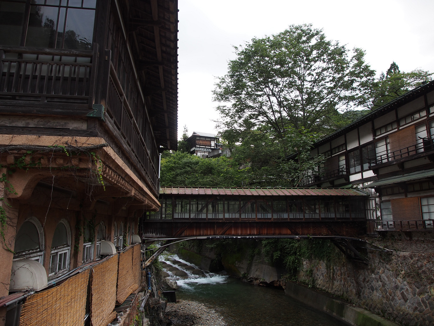 P9210426.jpg