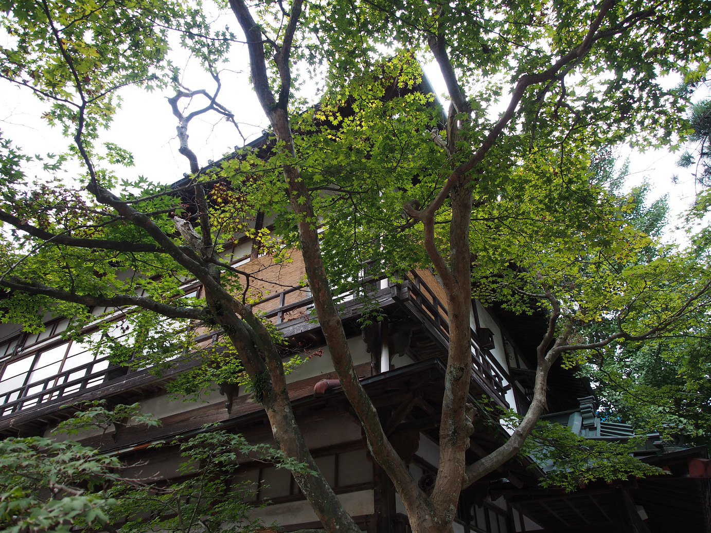 P9210437.jpg