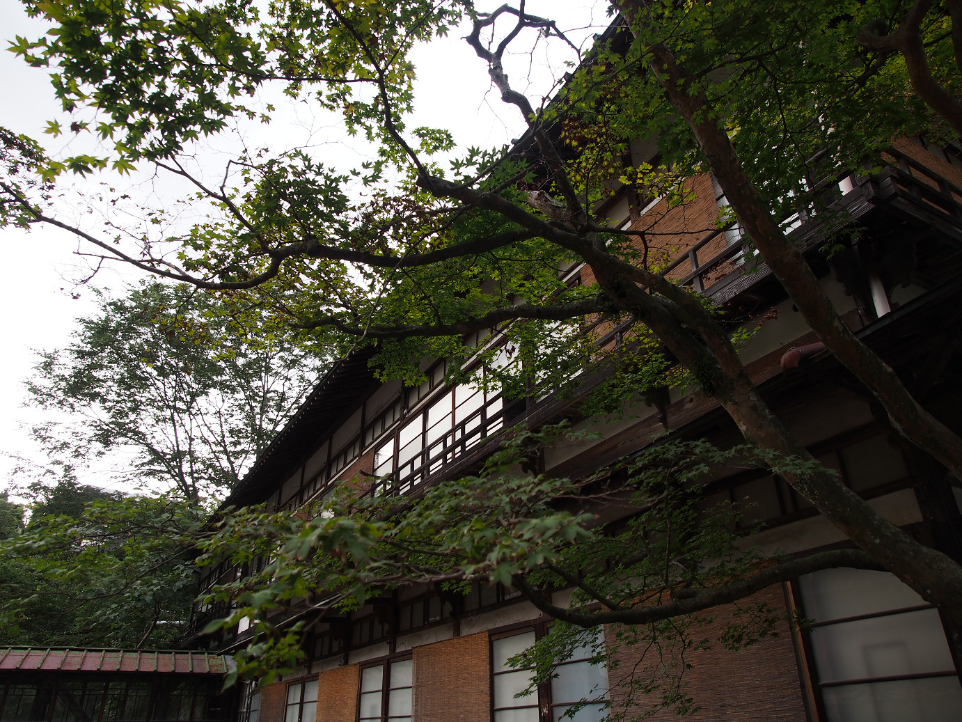 P9210438.jpg