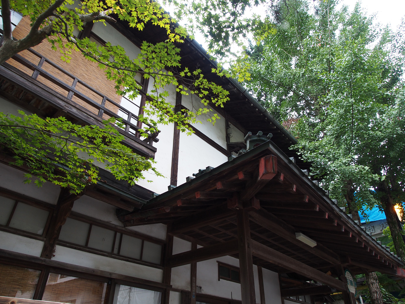 P9210440.jpg