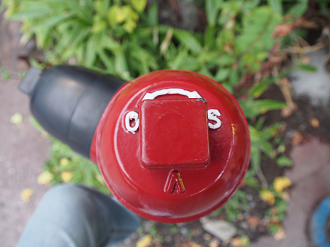 P9210444_thumb.png