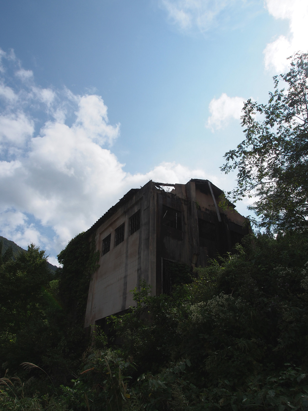 P9220524.jpg