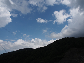 P9220693_thumb.png