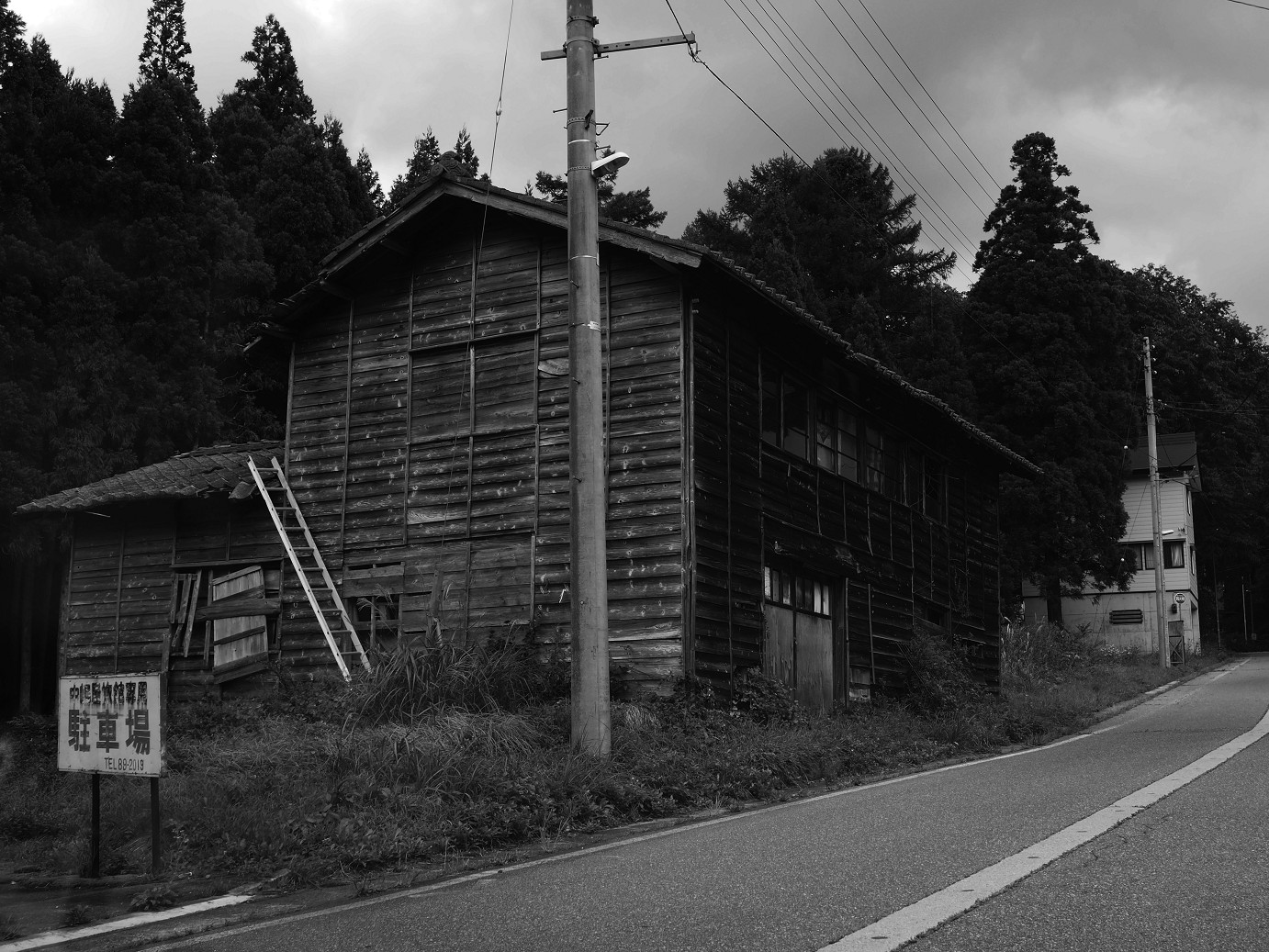 P9220701.jpg