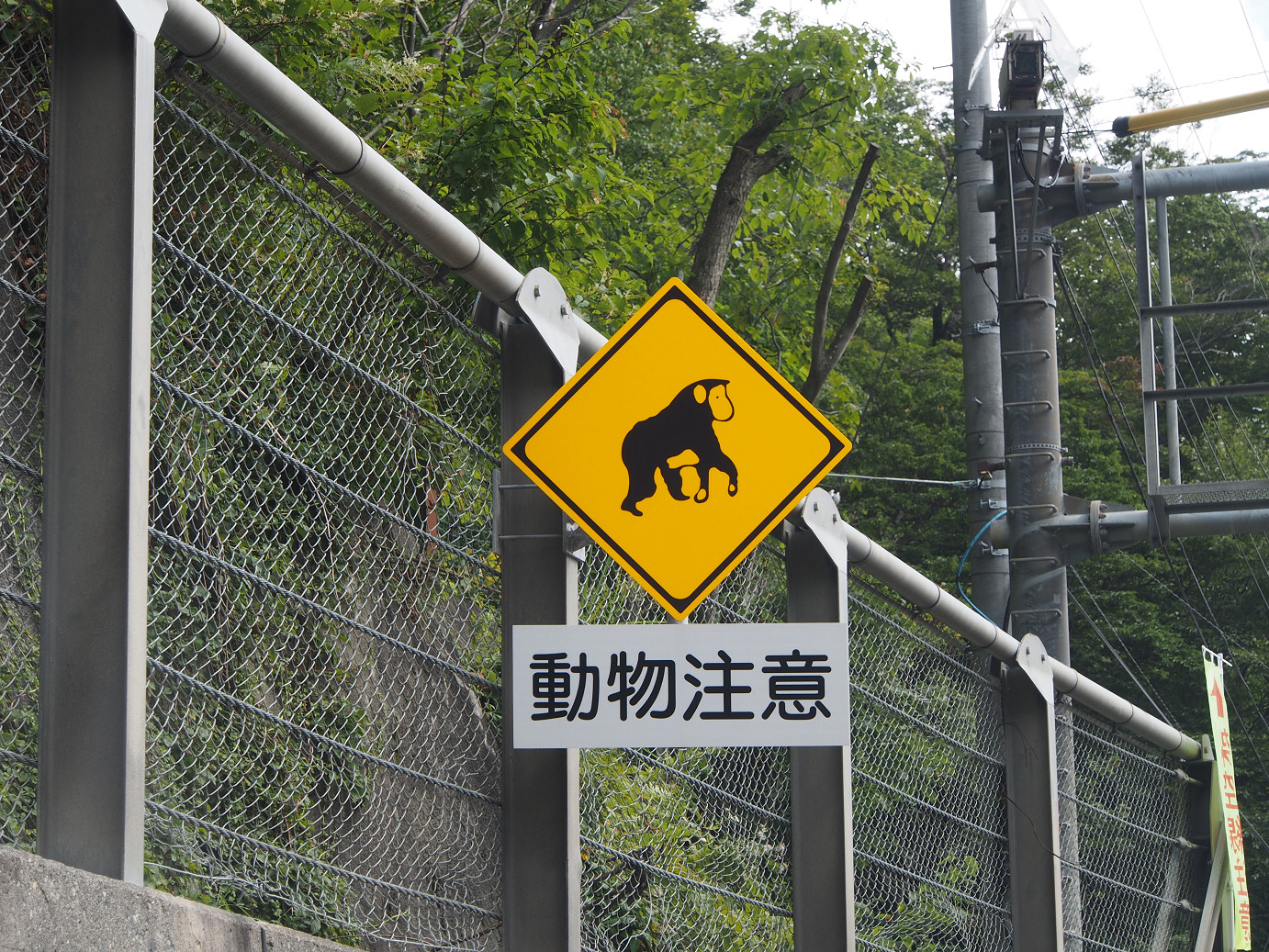 P9220714.jpg