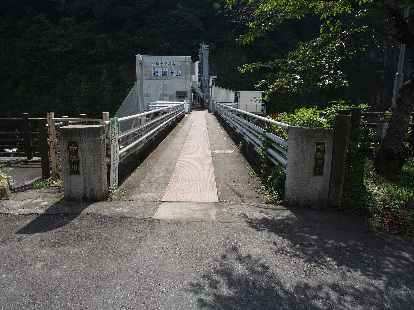 P9220715.jpg