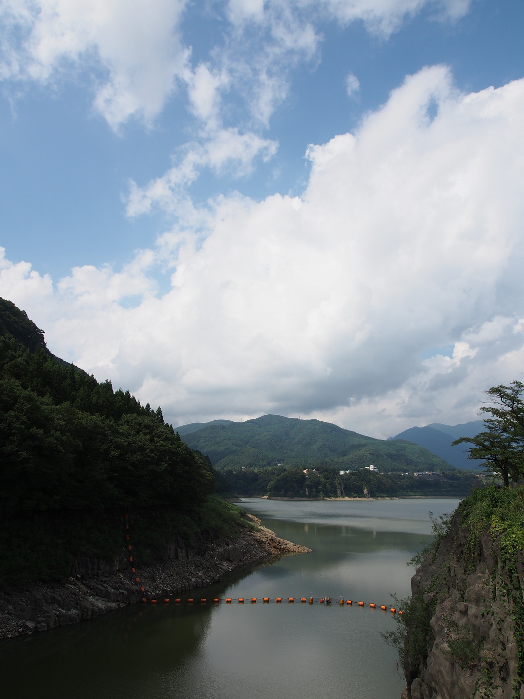 P9220719.jpg