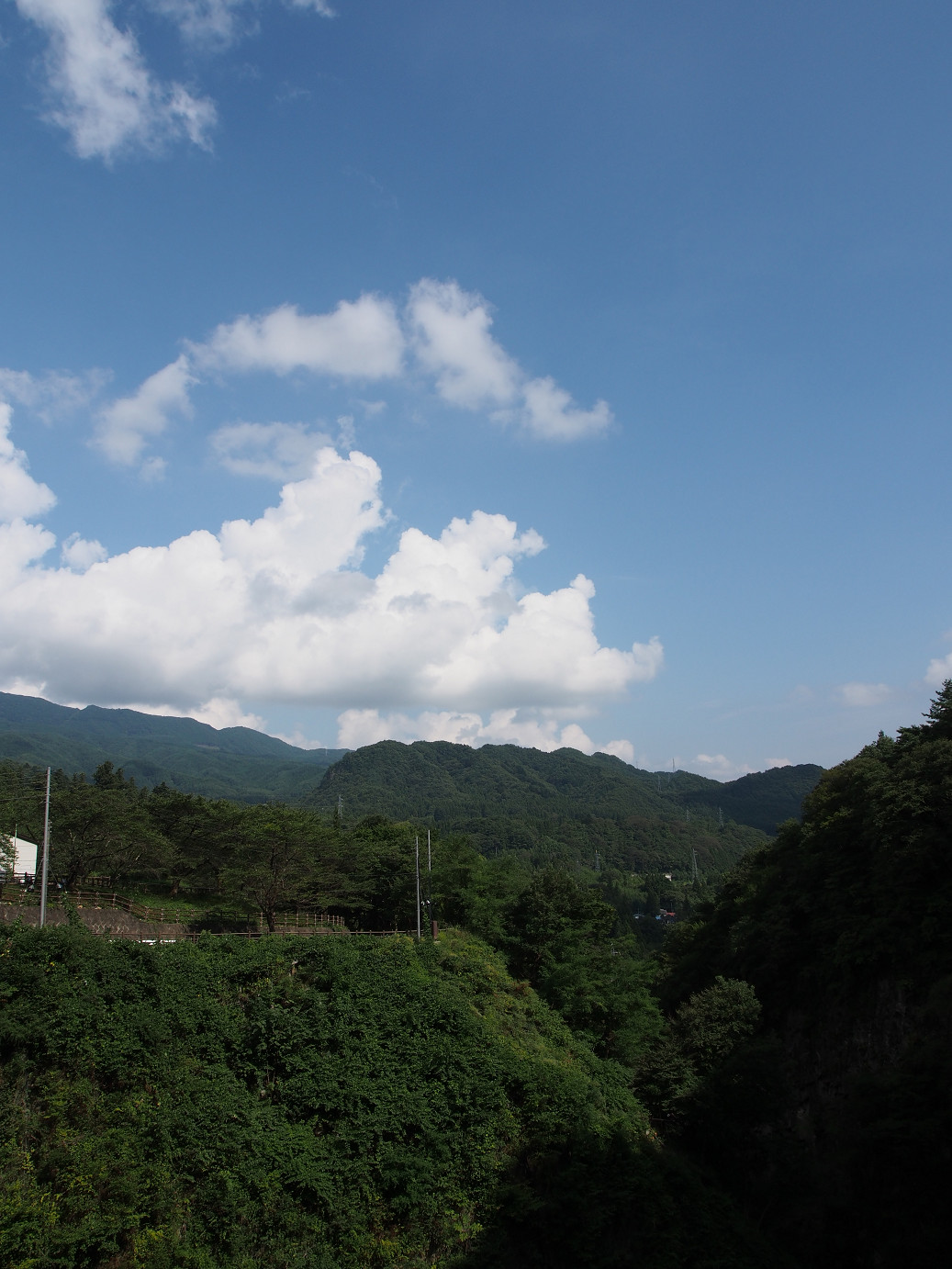 P9220730.jpg