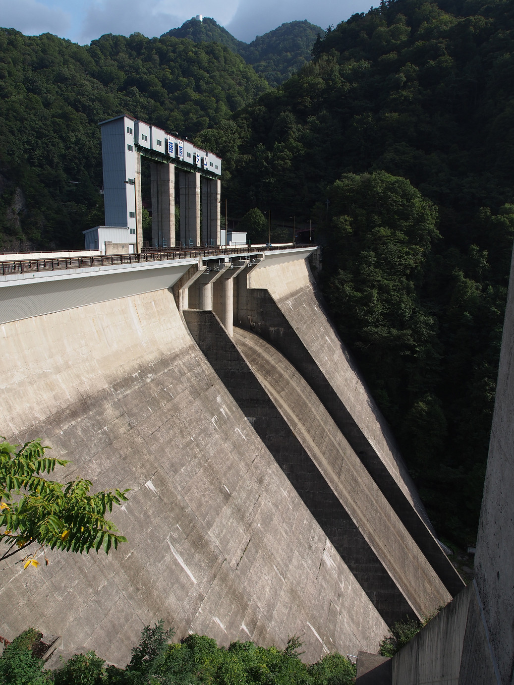 P9220807.jpg