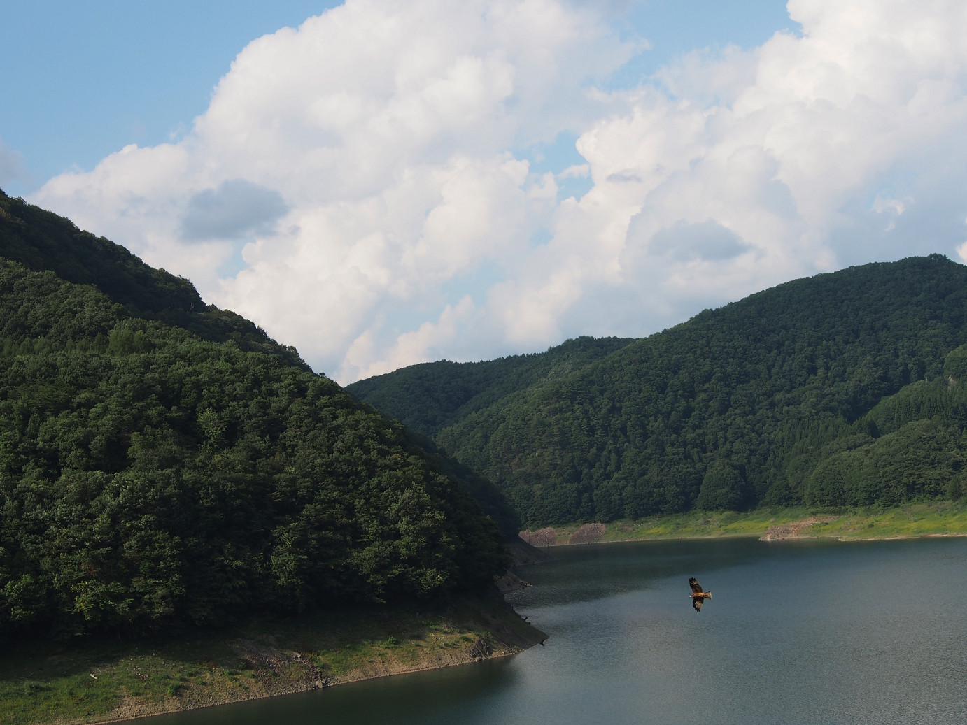 P9220847.jpg