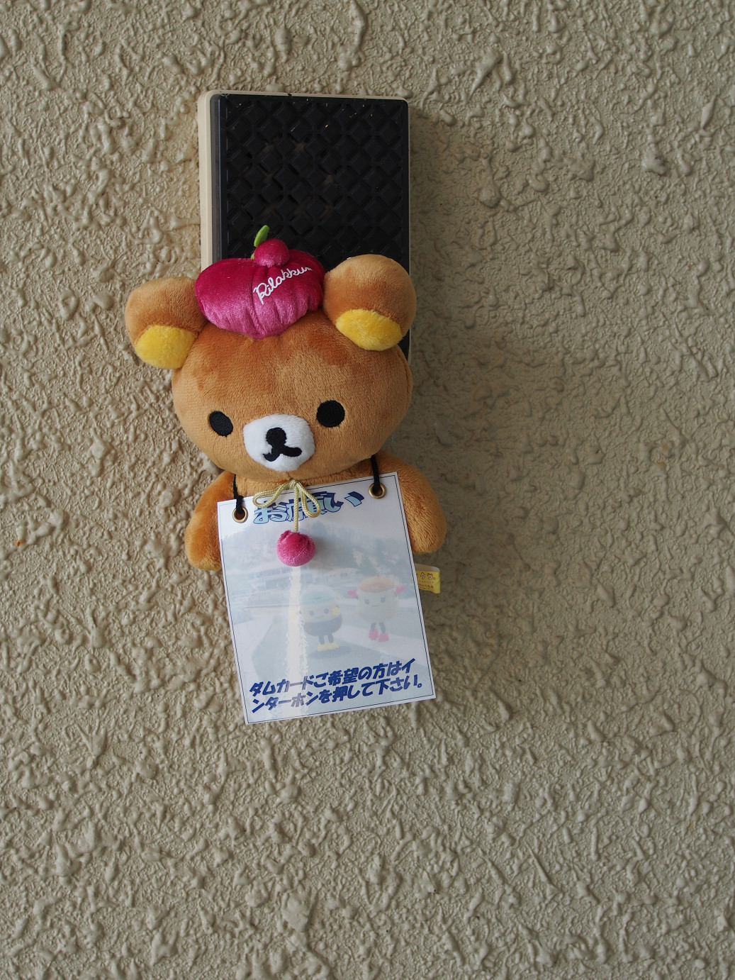 P9220852.jpg