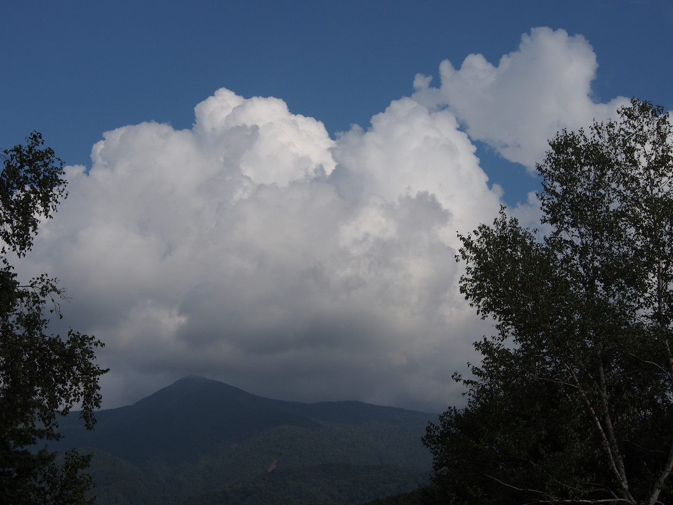 P9220854.jpg