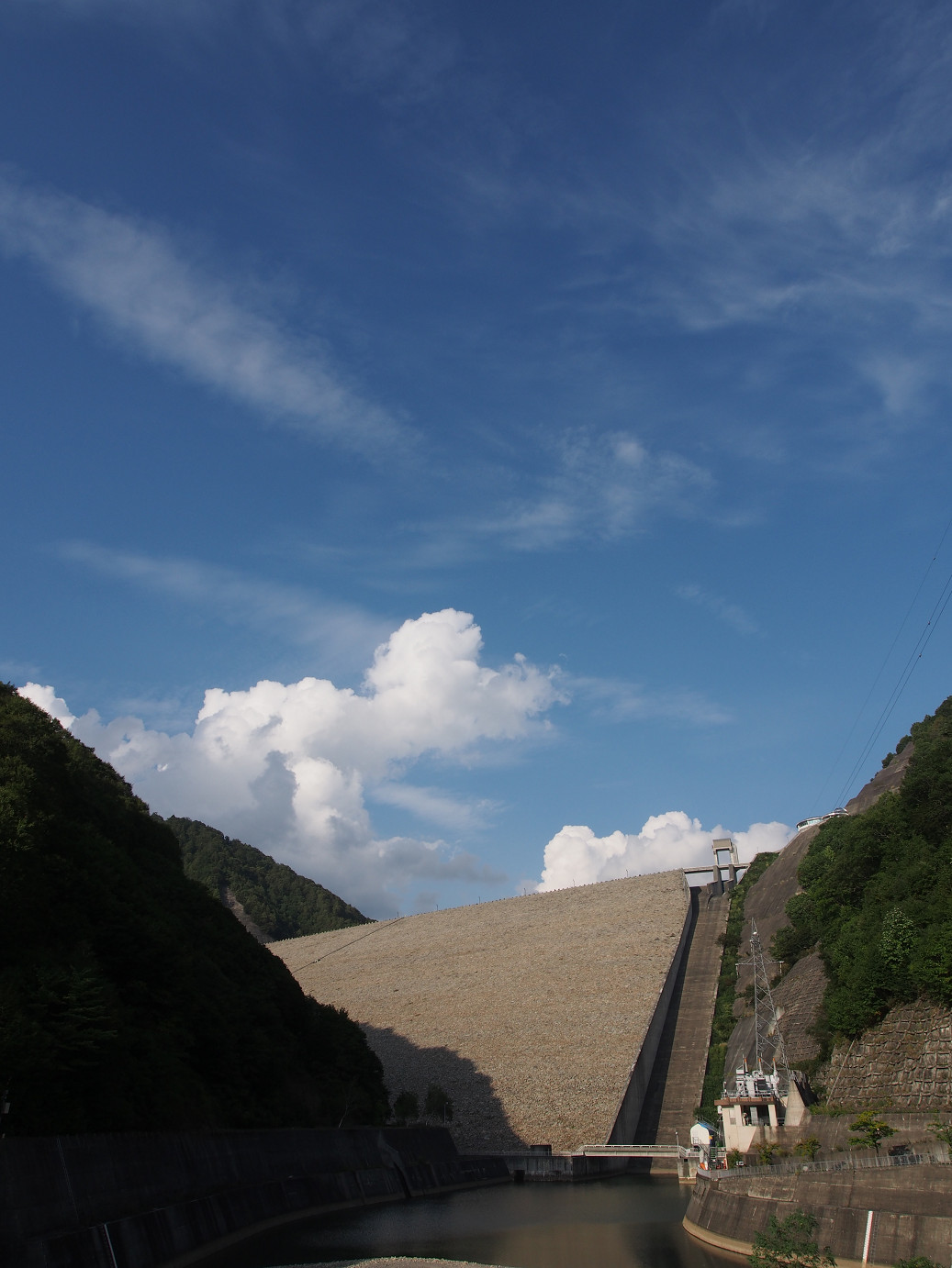 P9220873.jpg