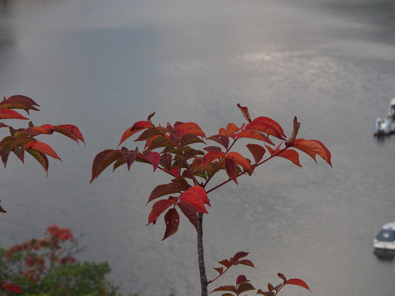 P9220891.jpg