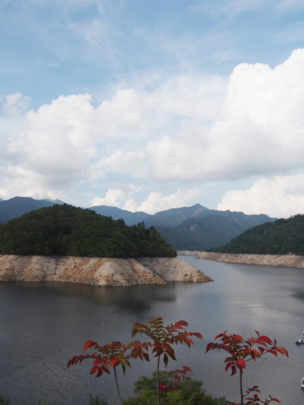 P9220895.jpg