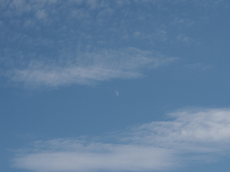 P9220918_thumb.png