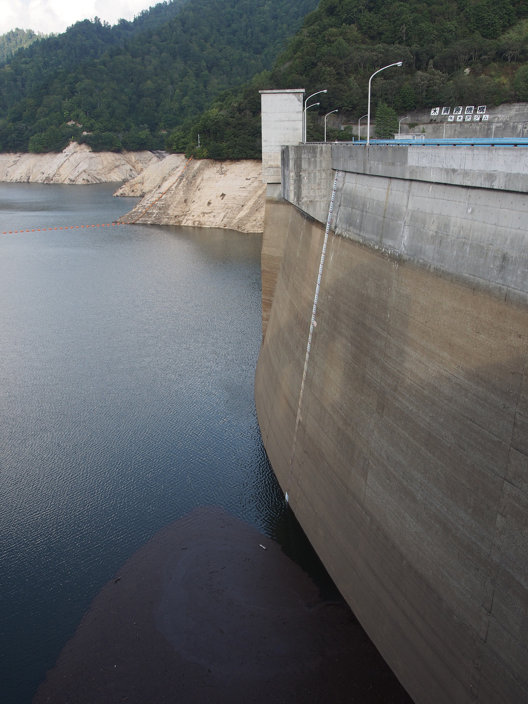 P9220934.jpg