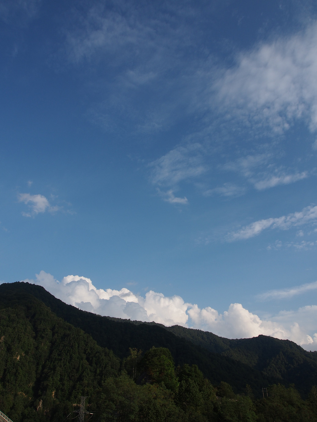 P9220969.jpg