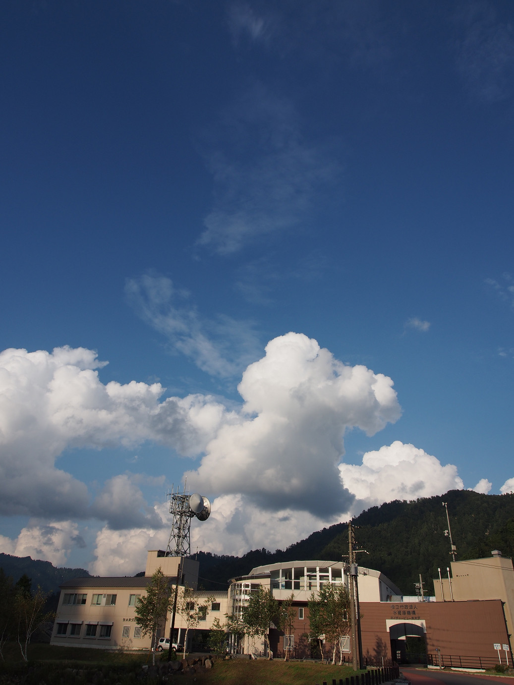 P9220971.jpg