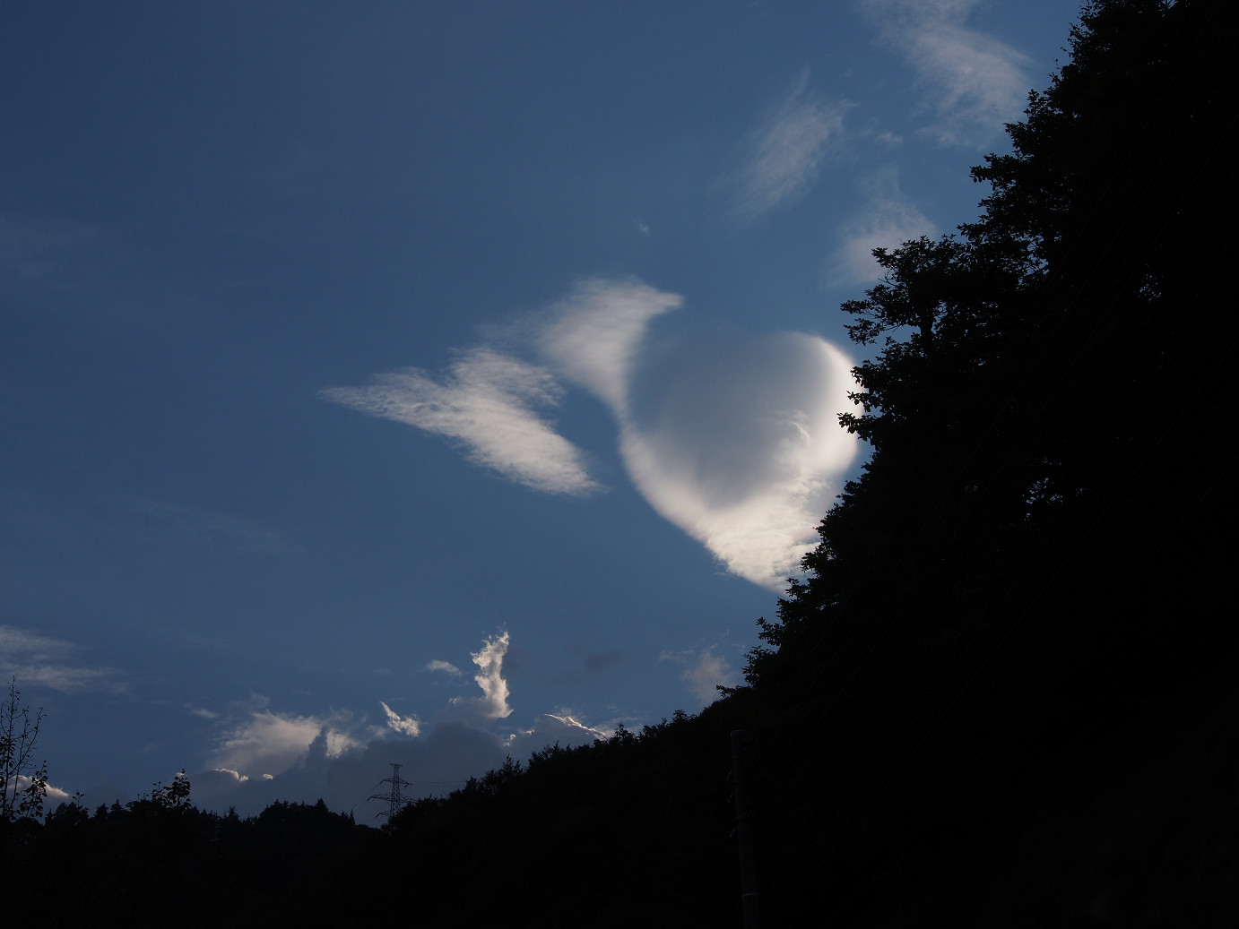 P9220993.jpg