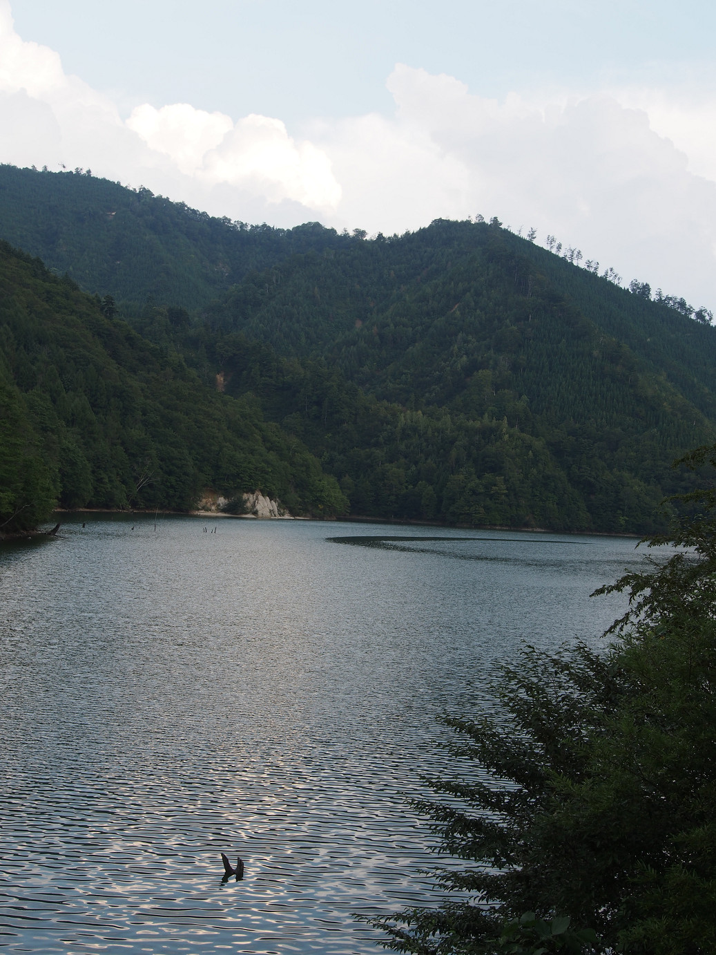 P9221001.jpg
