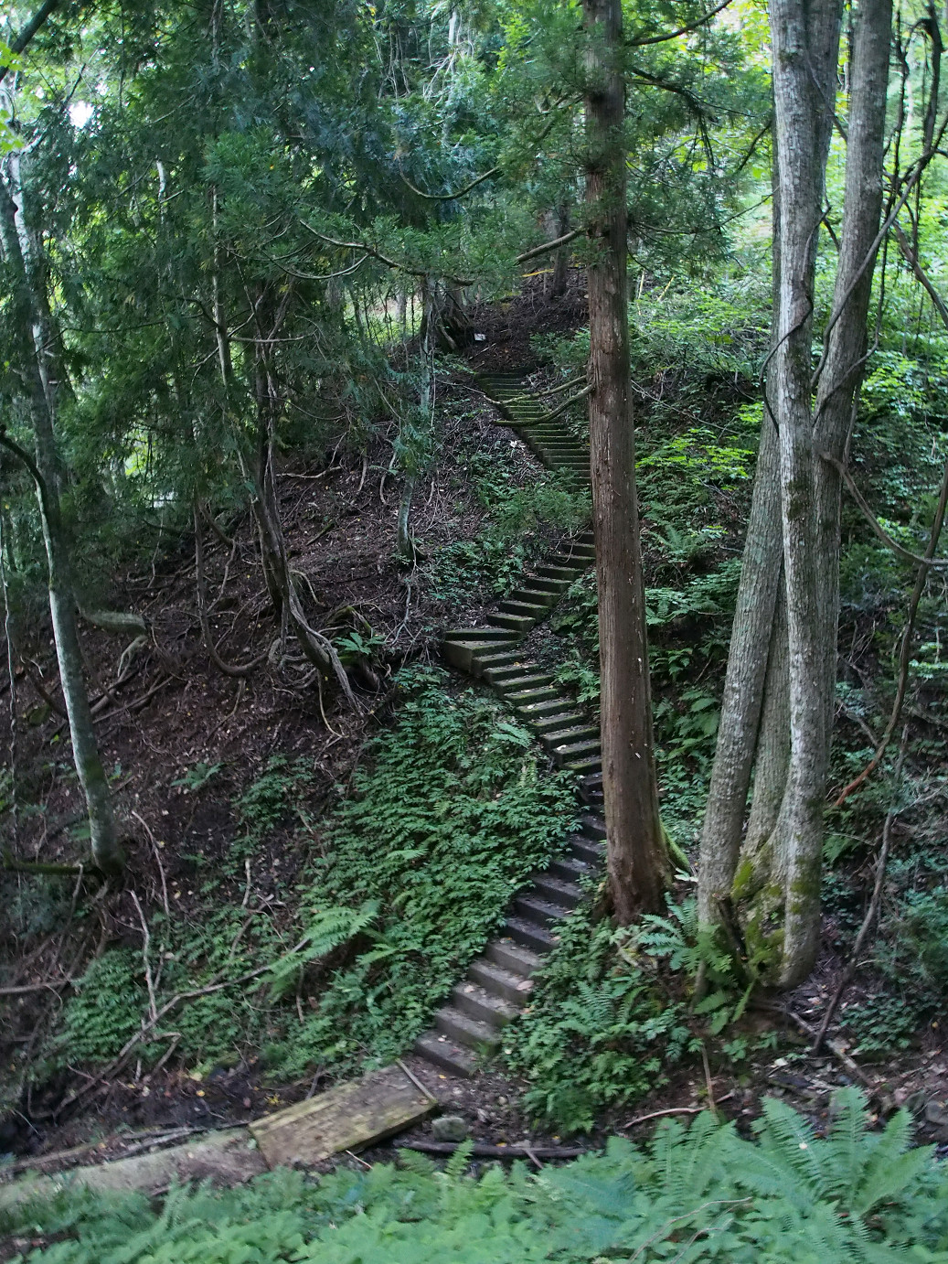 P9221039.jpg