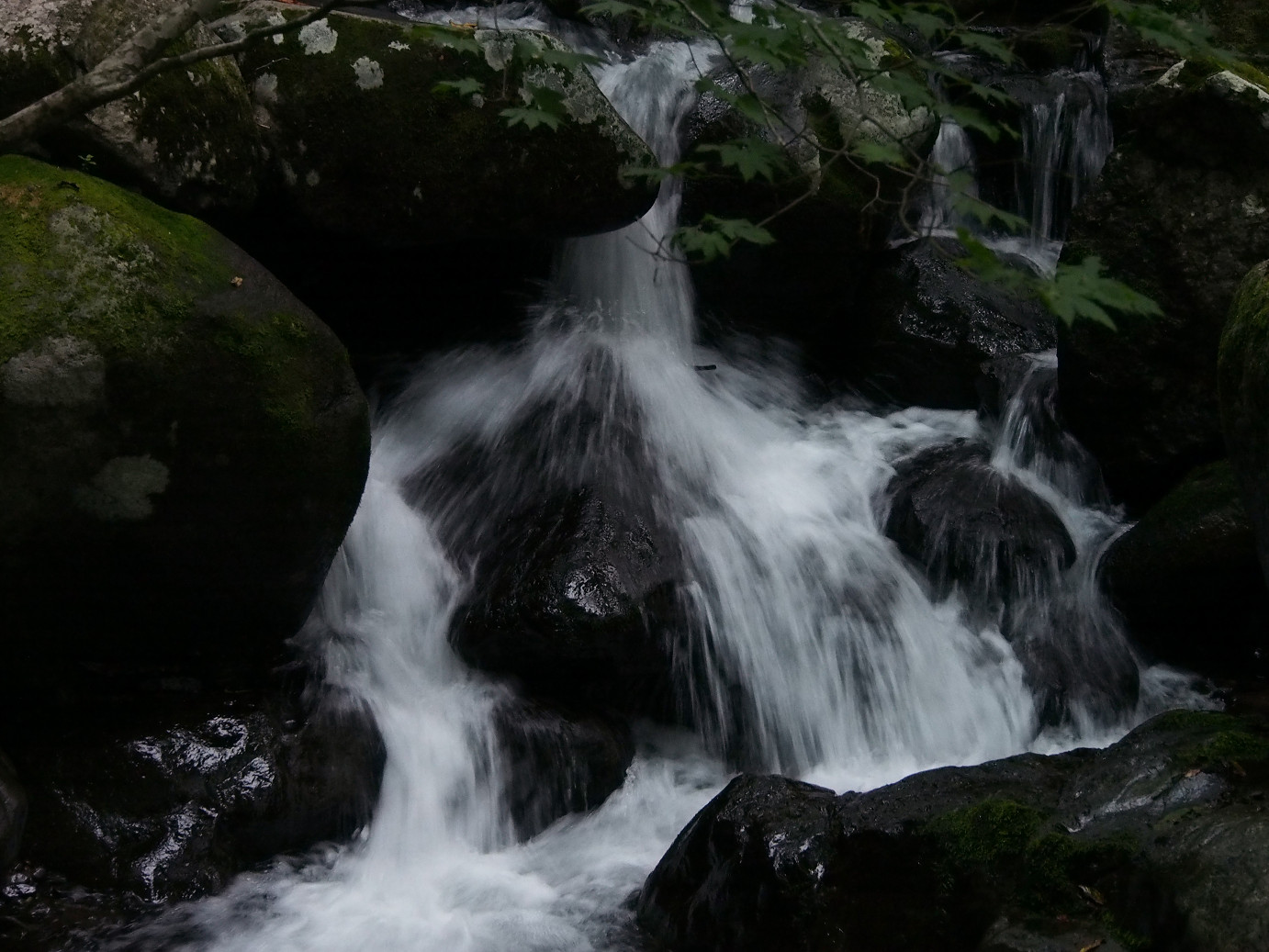 P9221040.jpg