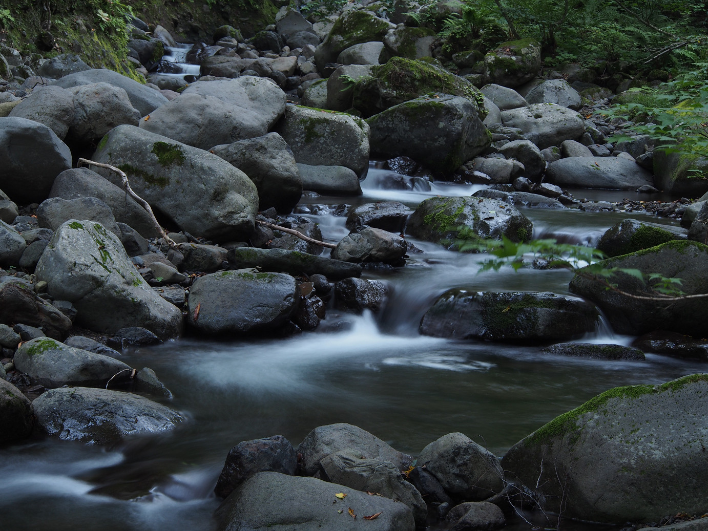P9221042.jpg
