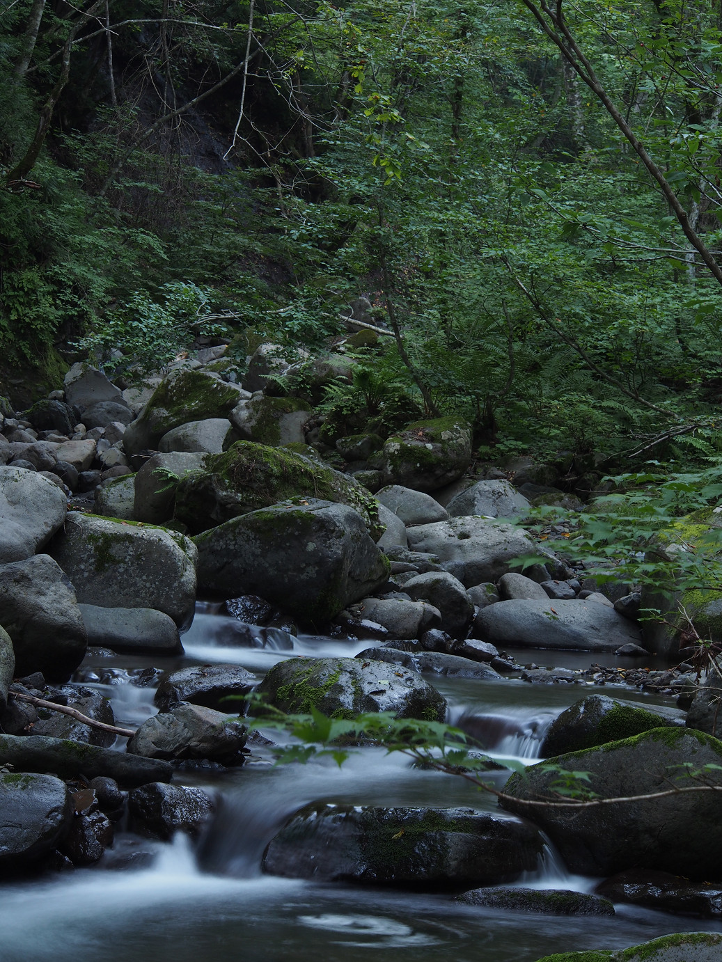 P9221043.jpg
