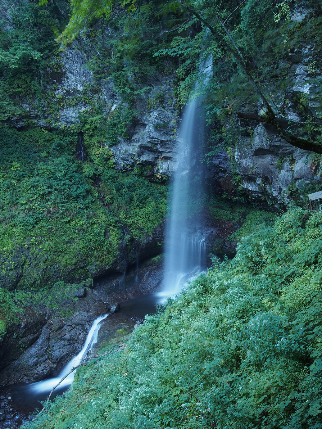 P9221056.jpg