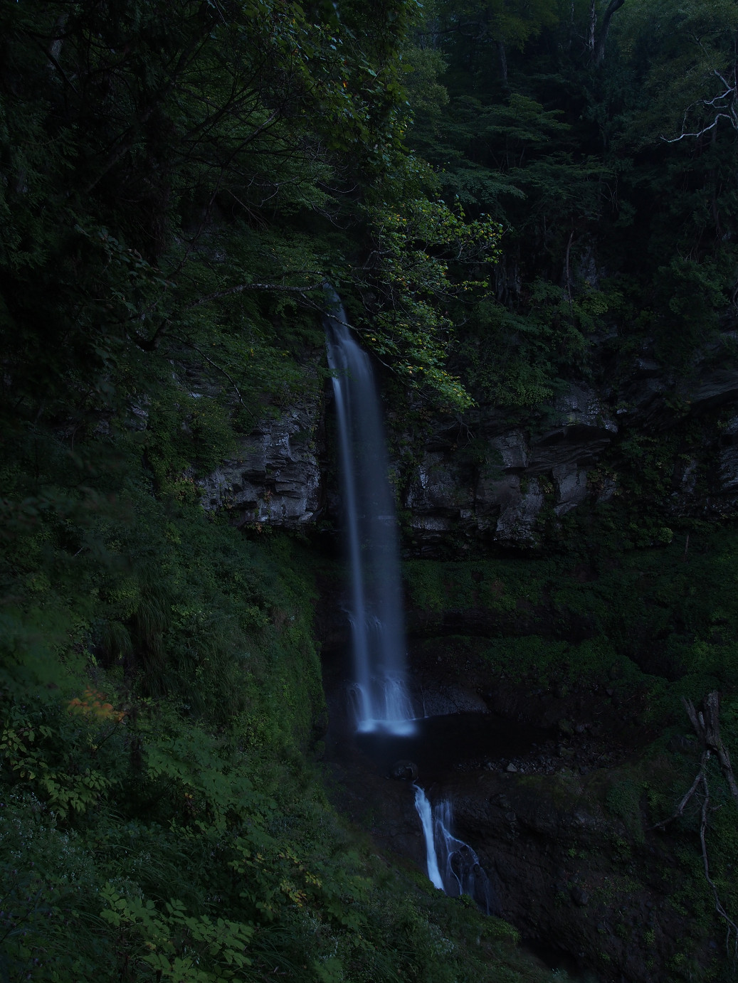 P9221061.jpg