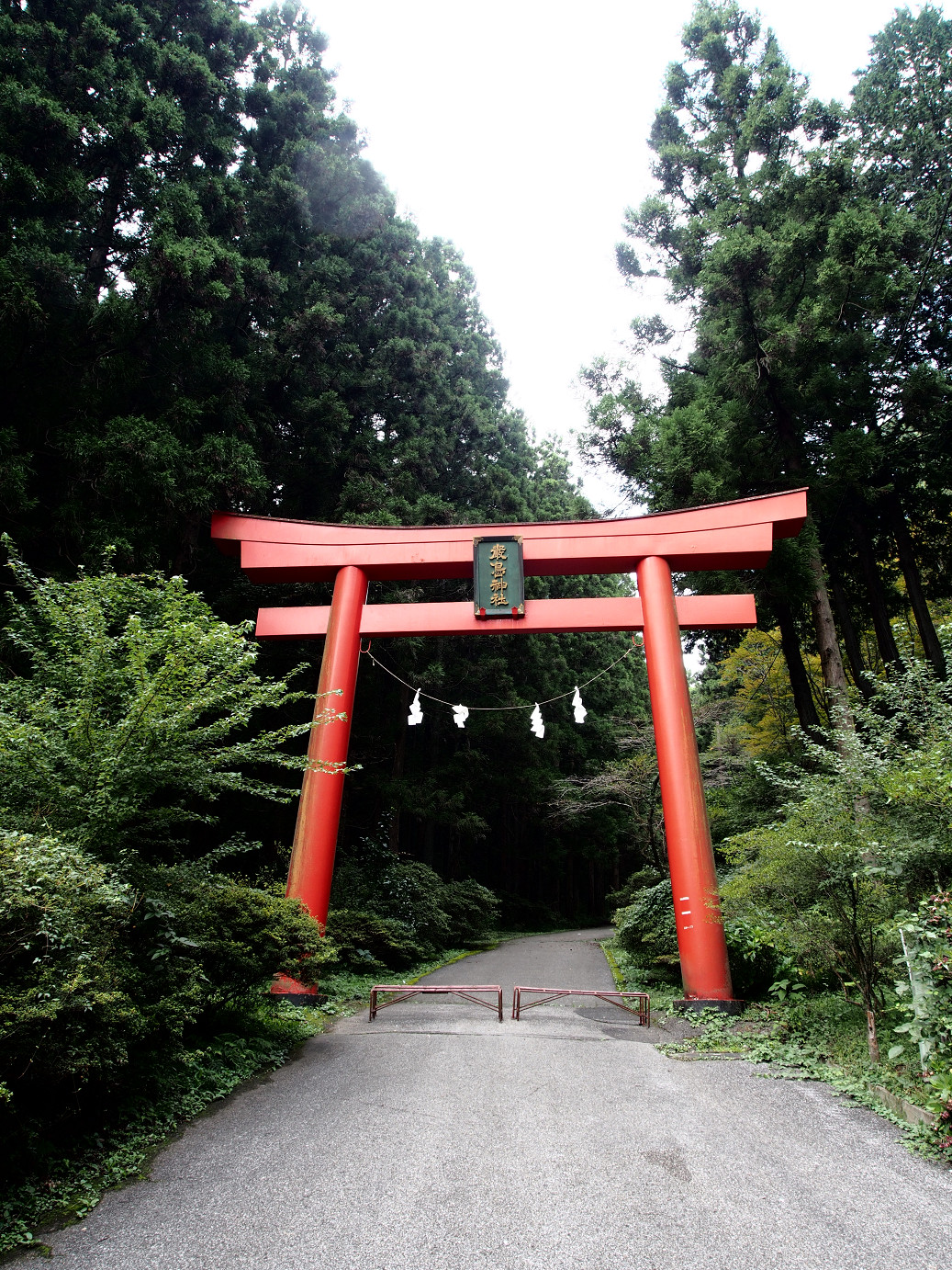 P9301093.jpg