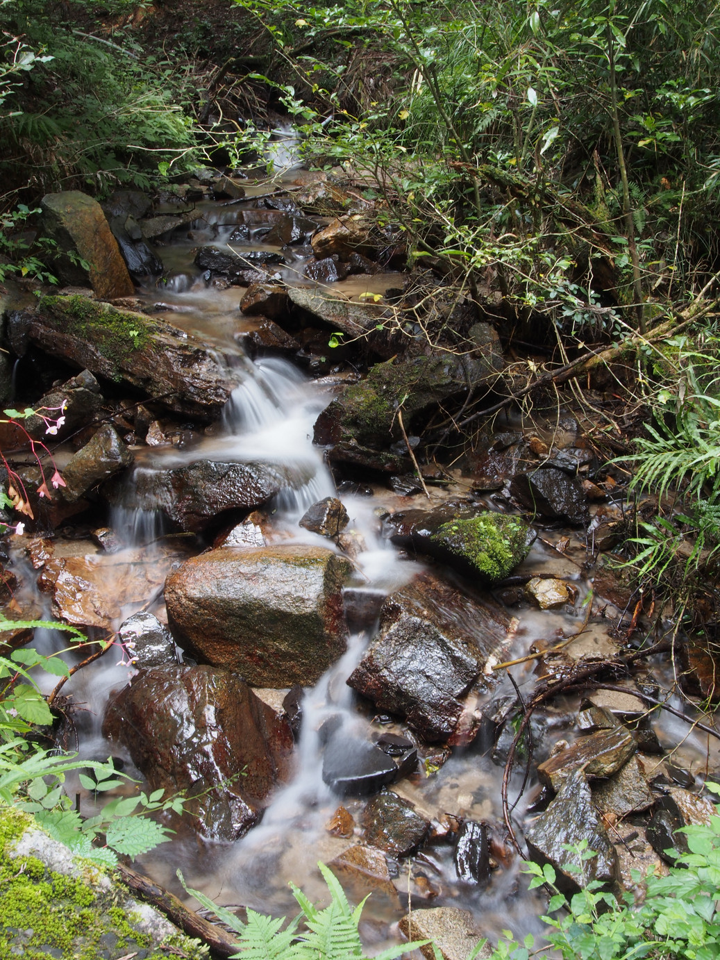 P9301122.jpg