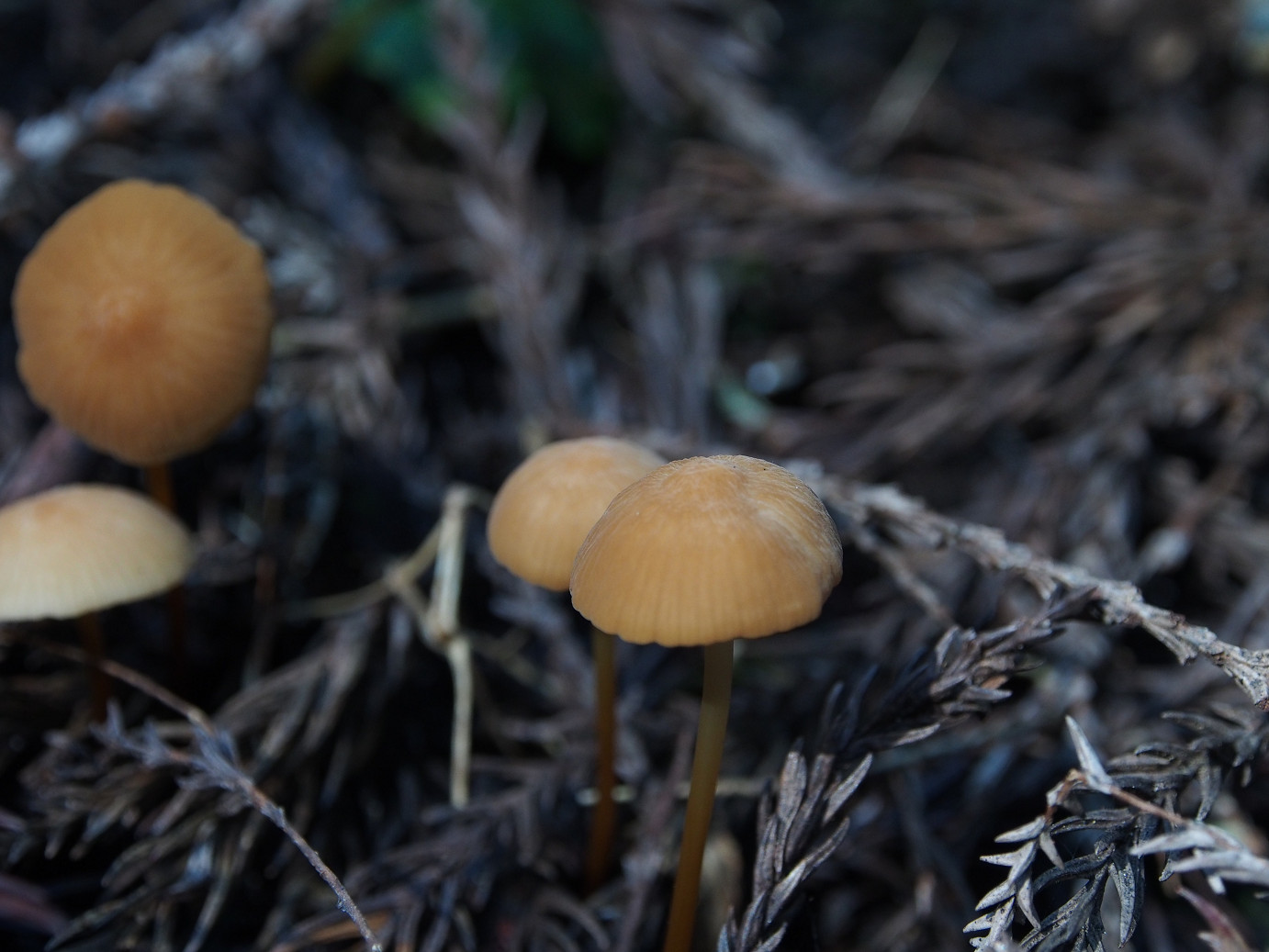 P9301140.jpg